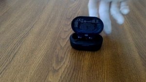 Фиксация наушников в зарядном футляре. Philips TAT1207