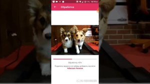 Видео наоборот быстрое и слоумо как сделать?