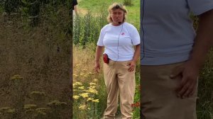 Природный парк «Репейник». Наталья Самойленко о цветниках новой волны.