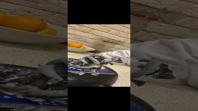 Опыт часть 1 смотреть онлайн