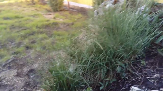 Камень туф смотреть онлайн