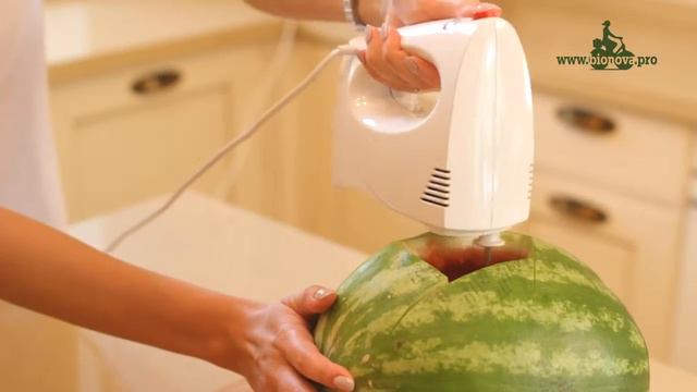 АРБУЗНЫЙ СМУЗИ СО СТЕВИЕЙ BIONOVA | ЭКОМАГАЗИН MERGOO (МЕРГО) смотреть онлайн