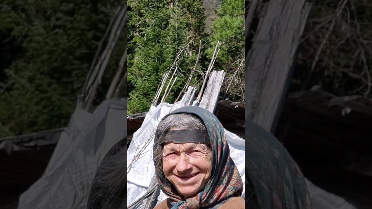 У Агафьи Лыковой прям в огороде бродят то олени, то медведи #Агафья #агафьялыкова #отшельники смотреть онлайн