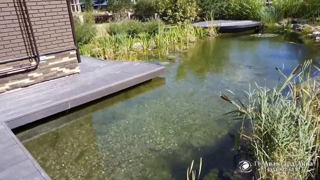 Живой водоем с кристально чистой водой (Проект Истринский р-н, МО) смотреть онлайн