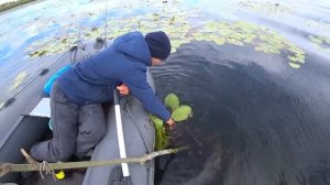 Руки дрожали от увиденного! Когда начал проверять жерлицы.. Таких монстров я еще не ловил..mp4