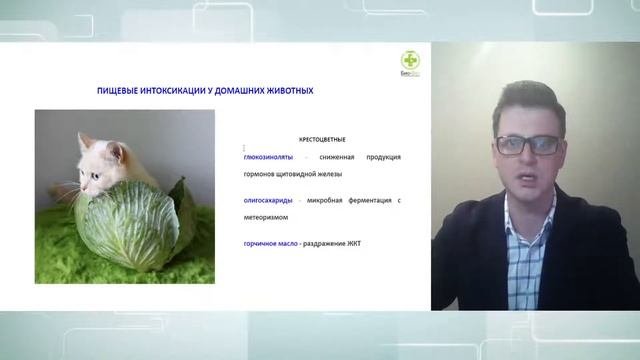 РАСТИТЕЛЬНЫЕ РАЦИОНЫ.ПИЩЕВЫЕ ИНТОКСИКАЦИИ ДОМАШНИХ ЖИВОТНЫХ