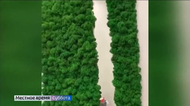 Стабилизированный мох в интерьере: стильные идеи от владимирского дизайнера