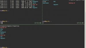 Zsh + oh my zsh + Tmux + tmuxinator 介紹