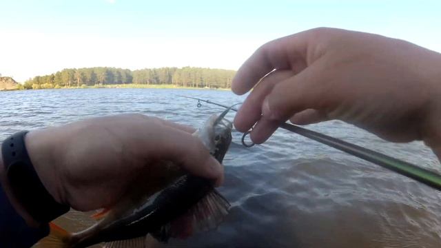 РЫБАЛКА НА ОТВОДНОЙ В СЕРЕДИНЕ МАЯ! ПОСЛЕНЕРЕСТОВЫЙ ЖОР ОКУНЯ! смотреть онлайн