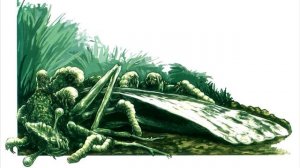 "Жизнь Острова Черепа" (The Life of Skull Island) - Интересные насекомые