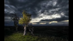 Ритуал от шумных соседей