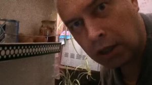 Что вы делаете в моем холодильнике? - Геннадий Горин
