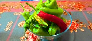 ЖАРЕНЫЙ ОСТРЫЙ ПЕРЕЦ ФАРШИРОВАННЫЙ МЯСОМ ?