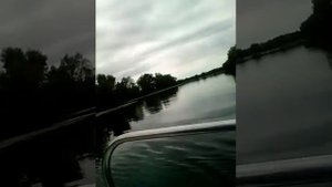 Orionboat 48Д на Yamaha 40