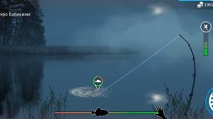 Рыбалка? Открыл Охоту на Угря? Поймал Трофейного Угря. Звуки Природы?? Рыбалка ночью. Озеро Вабаким