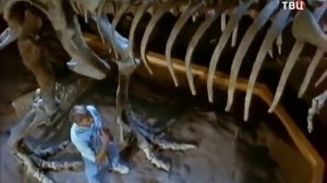 Тиранозавр. Правда про тиранозавров! ТИРАНОЗАВР-РЕКС.