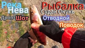 ЛОВИМ СУДАКА ОКУНЯ ДРОП-ШОТ  ОТВОДНОЙ ПОВОДОК РЕКА НЕВА