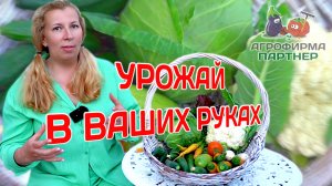 Собираем урожай в конце июня? | Реально!