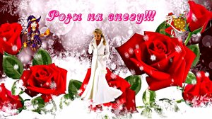 ФотоШоу PRO!!! Проект Зимушка Зима!!! Розы на снегу от Киностудии Мудрого Кота Тимофея!