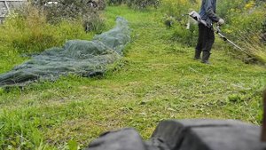 Триммер электрический СТАВР ТЭ 1700Р в работе