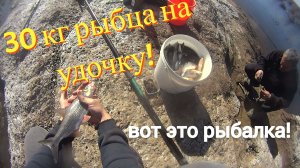 Рыбалка на Рыбца! ловля рыбца на удочку! удочка выловила всю рыбу! это вам не кастинговая сеть!