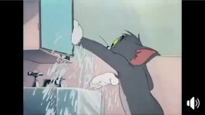 Когда чихнула хозяйка