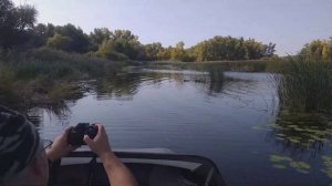 По волжским озерам на Флагман 420 и Сузуки 9.9