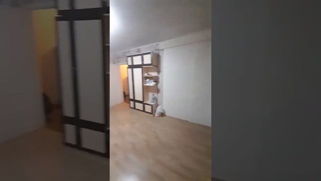 САНКТ-ПЕТЕРБУРГ.. НАБЕРЕЖНАЯ ЧЕРНОЙ РЕЧКИ. НОВАЯ ДЕРЕВНЯ. ТОРЖКОВСКАЯ УЛИЦА. смотреть онлайн