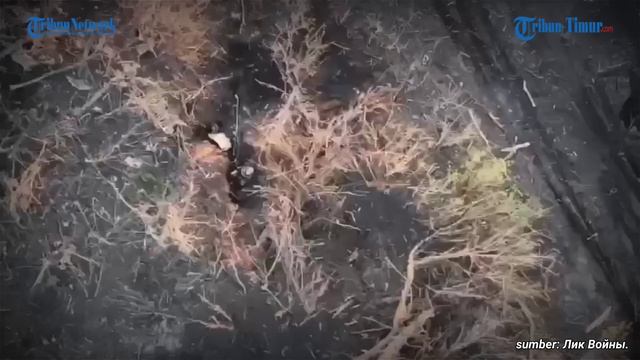 Granat Rusia Teror dan Lumpuhkan Pasukan Ukraina di Avdiivka смотреть онлайн