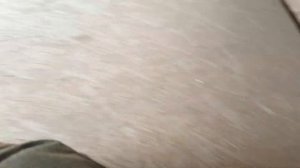 Строительство и особенности  будки для собаки - Немецкая овчарка.