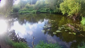 Рыбалка на речке в черте города.Карась Плотва Елец.Анис и Тесто.