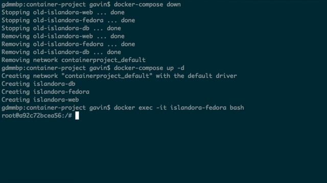 Islandora Demo on Docker смотреть онлайн