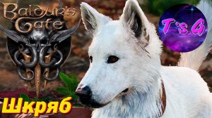 Как найти Шкряба (белый пес)? Baldur's Gate 3 - Мини Гайд #6