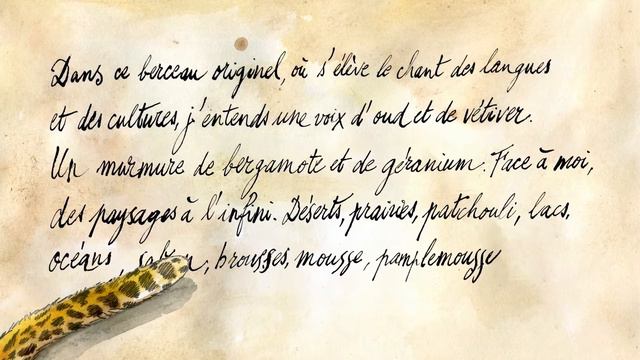 AFRICAN LEATHER - Intense savannah смотреть онлайн