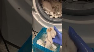 Отбеливаю полотенца с помощью Персоль