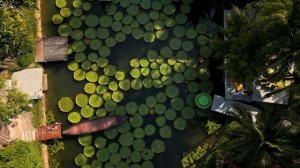 Откройте для себя невероятные места на Пхукете: Мыс Промтеп, Лаем Синг и уединенный пляж!