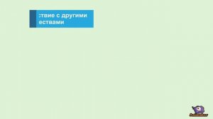 Коротко о витамине PP. Где содержится. Недостаток.
