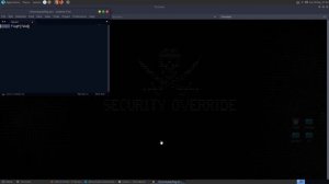 Pwn: clutter-overflow - picoMini CTF 2021 Challenge