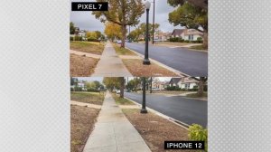 Pixel 7 VS iPhone 12