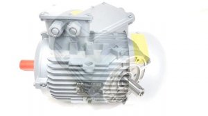 Двигатель VOLT VM 112 - 8/4 S1 IMV19/IM3631 1500/750 об/мин Р=1,5/2,5 кВт ТМС 12000061379