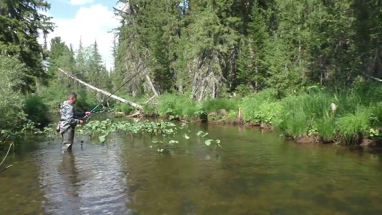 1575 Рыбный Плес Тайга #дмитрийяков #рыбалка #тайга #fishing  #хариус #выживалово #сибирь #охота
