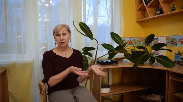 ХИТРОЕ КОЛЁСИКО - СРЕДА. Парадокс  10 - Единства.