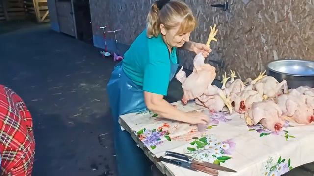 СВЕКРОВЬ ОПЯТЬ УЧИТ МЕНЯ РАБОТАТЬ.... смотреть онлайн