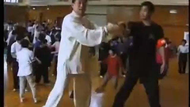 Чэнь Сяован, грандмастер тайцзицюань 19 поколение смотреть онлайн