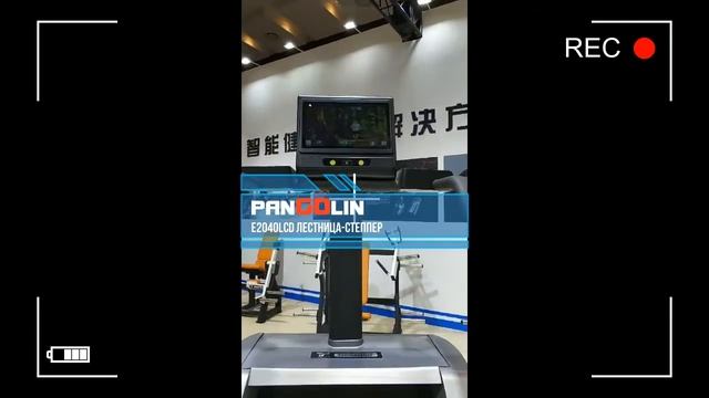 PANGOLIN e2040LCD Лестница Степпер смотреть онлайн