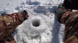 Уловистая мормышка!  Рыбалка зимой на реке. Ловля плотвы и окуня.