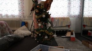 Christmas tree removal