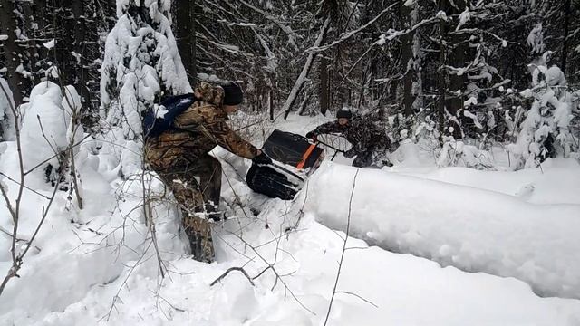 Валим в троем на снегоходах через лес. смотреть онлайн