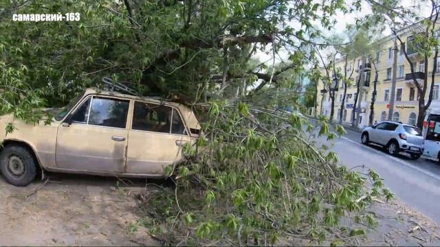 В Самаре дерево рухнуло на припаркованные машины на проспекте Масленникова смотреть онлайн