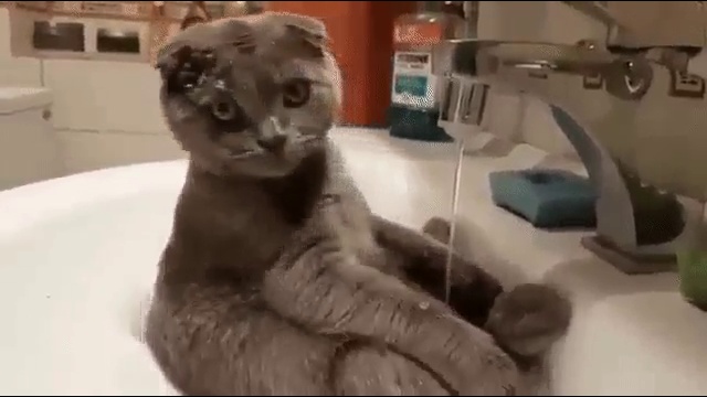 Похмелье...